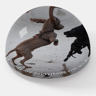 Great Dane Friends Paperweight