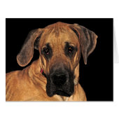 Great Dane Gentle Giant Big Card (Front Horizontal)