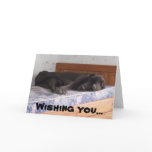 Great Dane - Get Well Soon Card Great Dane - Get Well Soon Card