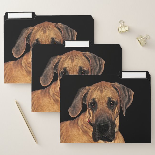 Great Dane Golden Brown Dog File Folder Set