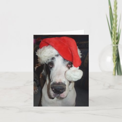 Great Dane Gunner as Santa Greeting Card