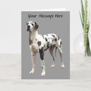 Great Dane Harlequin Greeting Card by normagolden at Zazzle