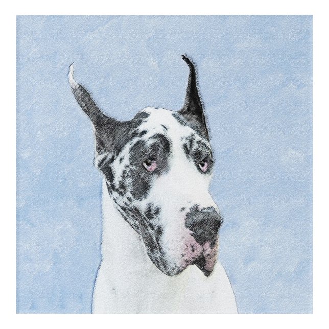 Great Dane (Harlequin) Painting - Original Dog Art (Front)