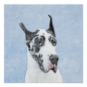 Great Dane (Harlequin) Painting - Original Dog Art Poster