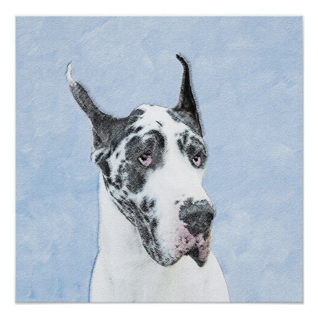 Great Dane (Harlequin) Painting - Original Dog Art Poster (Front)