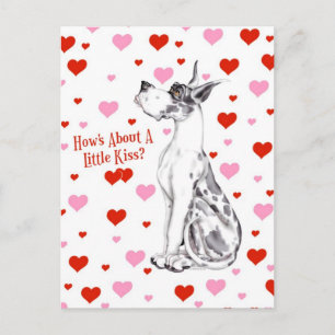 Great Dane Harlequin Valentine's Day Kiss Holiday Postcard