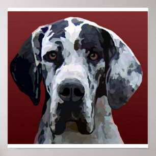 Great Dane Harly Poster 12.5