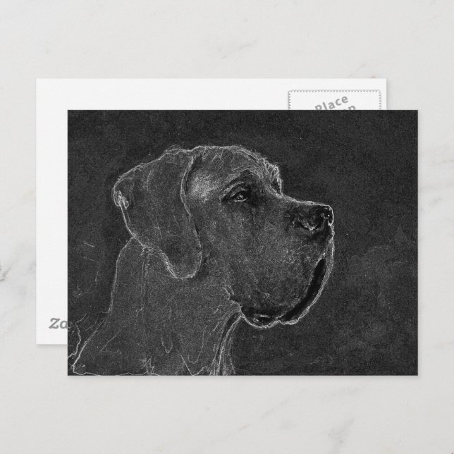 Great Dane Head Charcoal Drawing Postcard (Front/Back)