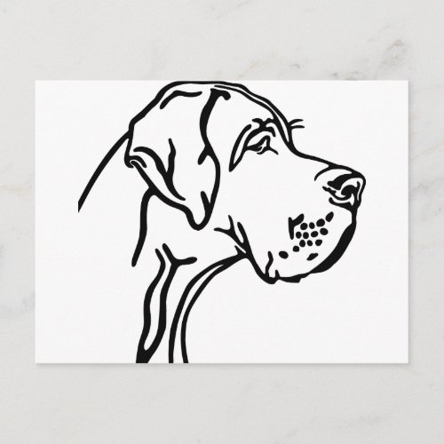 Great Dane Head drawing Postcard