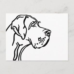 Great dane Head drawing Postcard