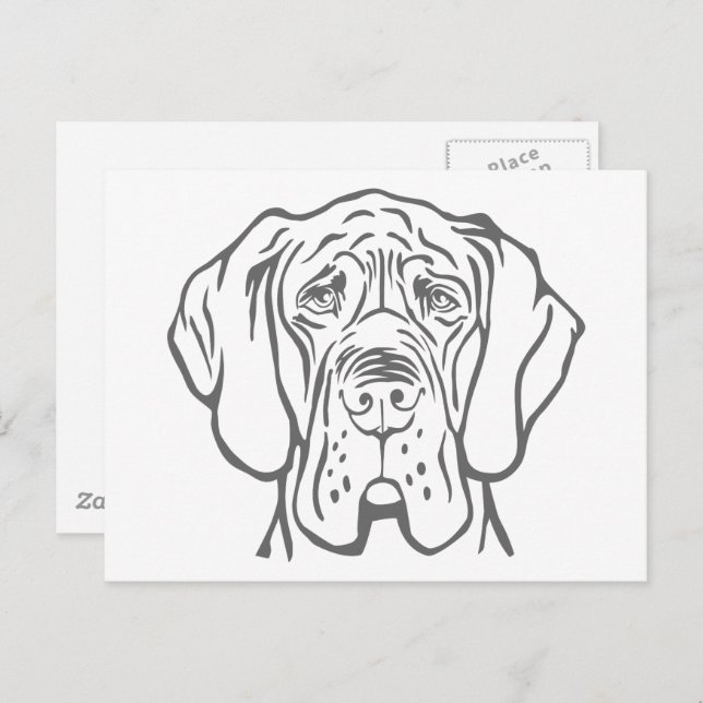 Great Dane Head drawing Postcard (Front/Back)
