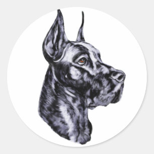 Great Dane Head Study Black Classic Round Sticker