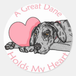 Great Dane Holds Heart Merle UC Classic Round Sticker