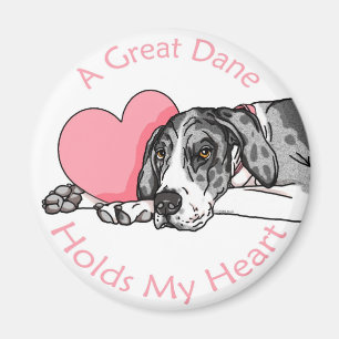 Great Dane Holds Heart MerleB UC Magnet