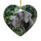 Great Dane Images