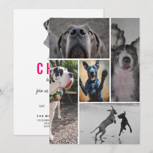 Great Dane Invitation