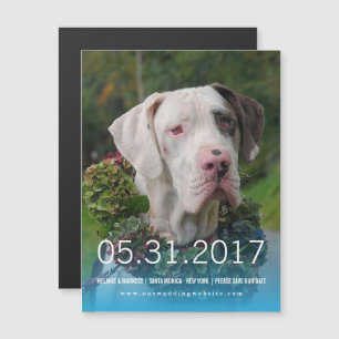 Great Dane Invite