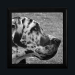 GREAT DANE JEWELRY BOX<br><div class="desc">A beautiful black and white design of a Great Dane dog. England UK.</div>