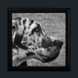 GREAT DANE JEWELRY BOX<br><div class="desc">A beautiful black and white design of a Great Dane dog. England UK.</div>