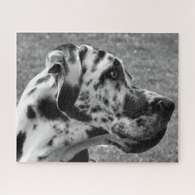 GREAT DANE JIGSAW PUZZLE (Horizontal)