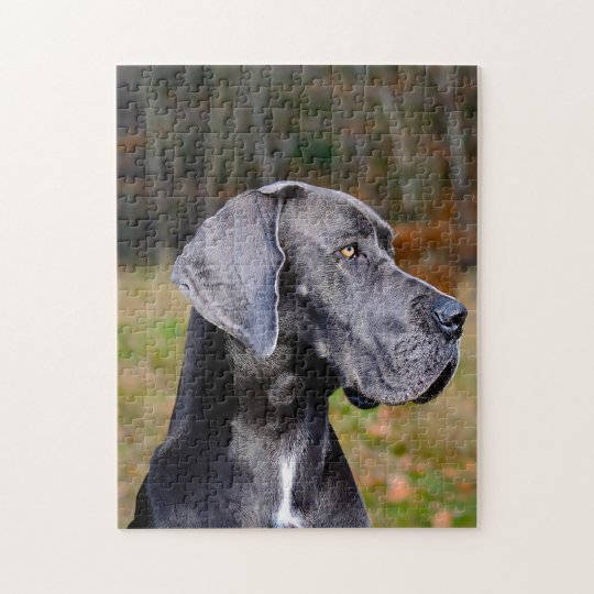 Great Dane. Jigsaw Puzzle