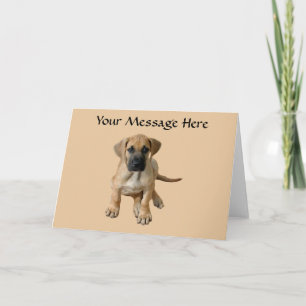 Great Dane King of Dogs Greeting Card