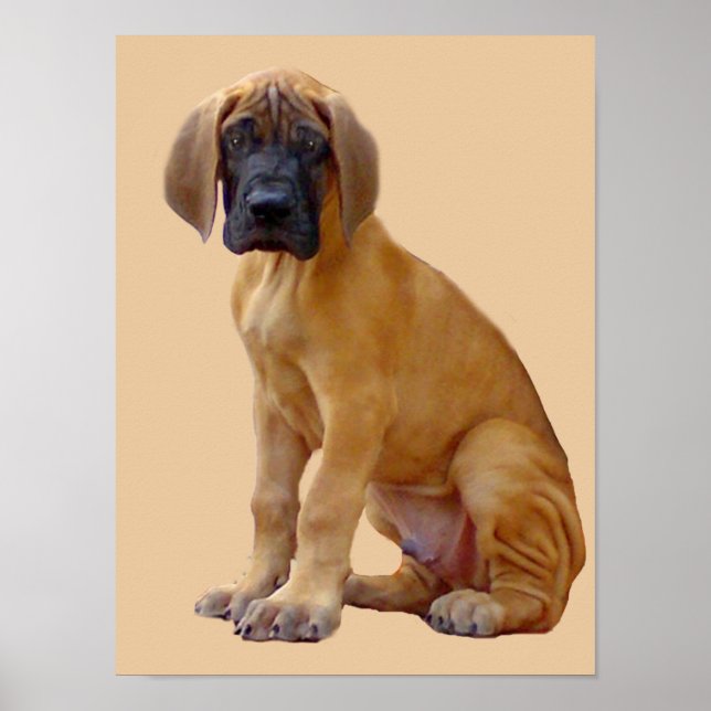 Great Dane King of Dogs Print (Front)
