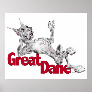 Great Dane Laid Back Merle Poster