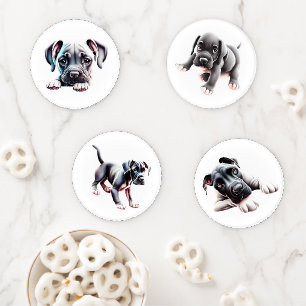 Great Dane Life Stages Coaster Set