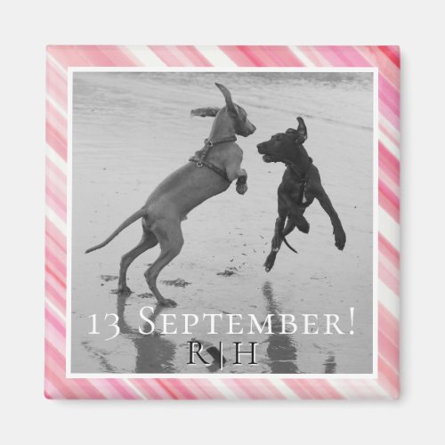 Great Dane LOVE AT FIRST SNIFF save the date Magnet