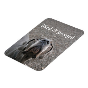 Great Dane magnet