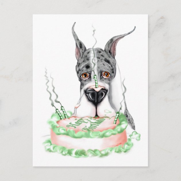 Great Dane Merle Birthday Cake Postcard Zazzle