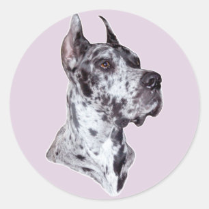 Great Dane Merle Cropped Classic Round Sticker