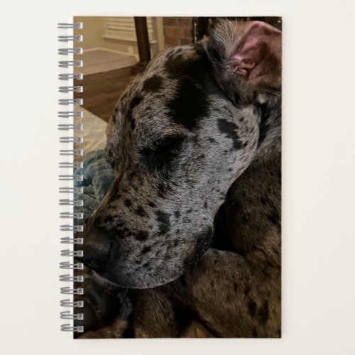 Great Dane Merle Sleeping Notebook