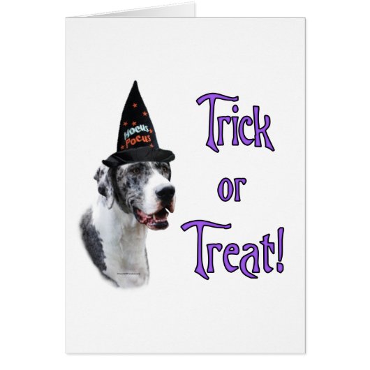 Great Dane (merle) Trick Cards (Front)