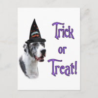 Great Dane (merle) Trick