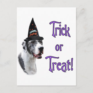 Great Dane (merle) Trick Postcard