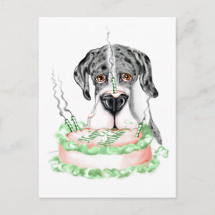Great Dane Merle UC Birthday Cake Postcard