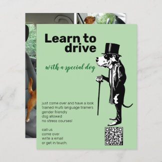 Great Dane Mister Alf driver flyer