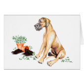 Great Dane Naughty Pup Fawn UC (Front Horizontal)