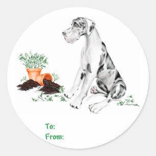 Great Dane Naughty Pup Harlequin UC Classic Round Sticker