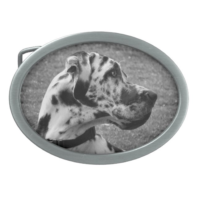GREAT DANE OVAL BELT BUCKLE (Front)