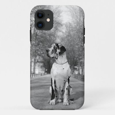 Great Dane Personal Photography Case