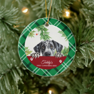 Great Dane Personalized First Christmas Ceramic Ornament