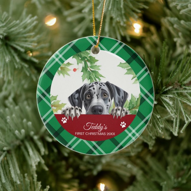 Great Dane Personalized First Christmas Ceramic Ornament (Tree)