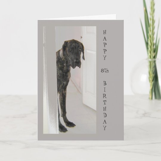 Great Dane Pet Dog 8th Happy Birthday Humor Card Zazzle Com
