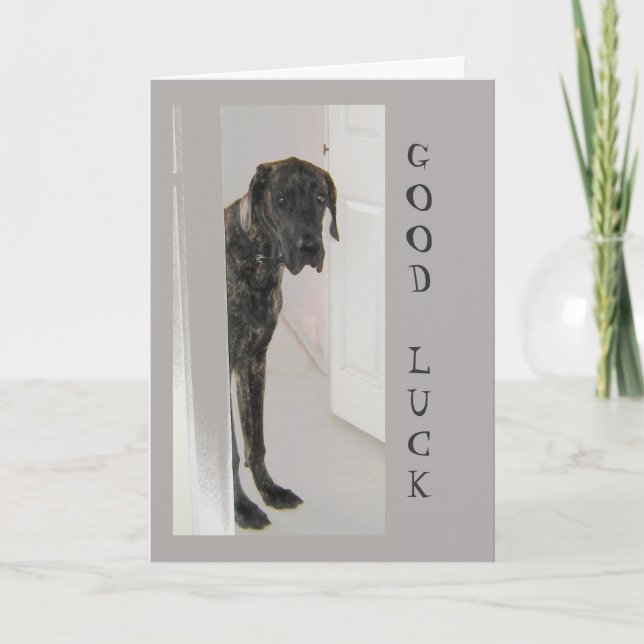 Great Dane  Pet Dog Humor Good Luck Fun Card (Front)