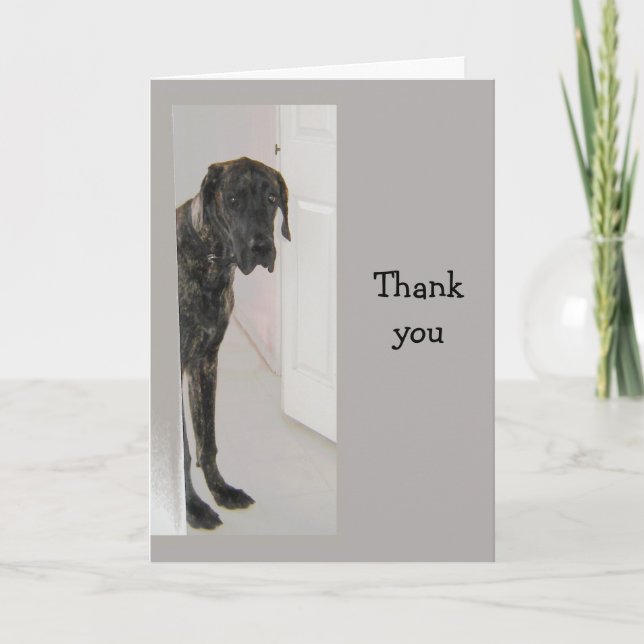 Great Dane  Pet Dog Humor Thank you Card (Front)