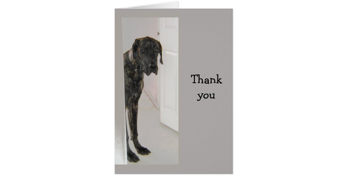 Great Dane Pet Dog Humor Thank You Card Zazzle