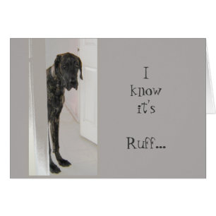 Great Dane Pet Dog It's Been Ruff I'm here for you